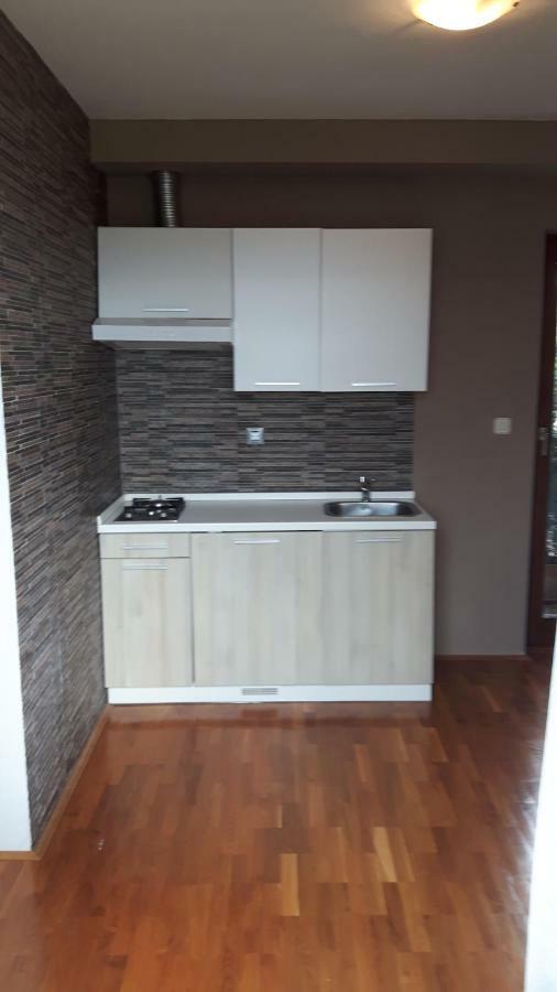 Lili'S House Apartment Ližnjan Екстериор снимка