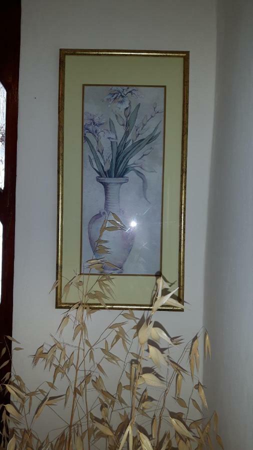 Lili'S House Apartment Ližnjan Екстериор снимка